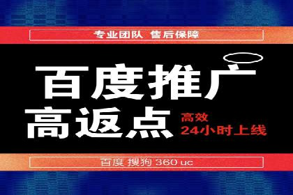 百度竞价代理实战技巧：经典案例深度解读